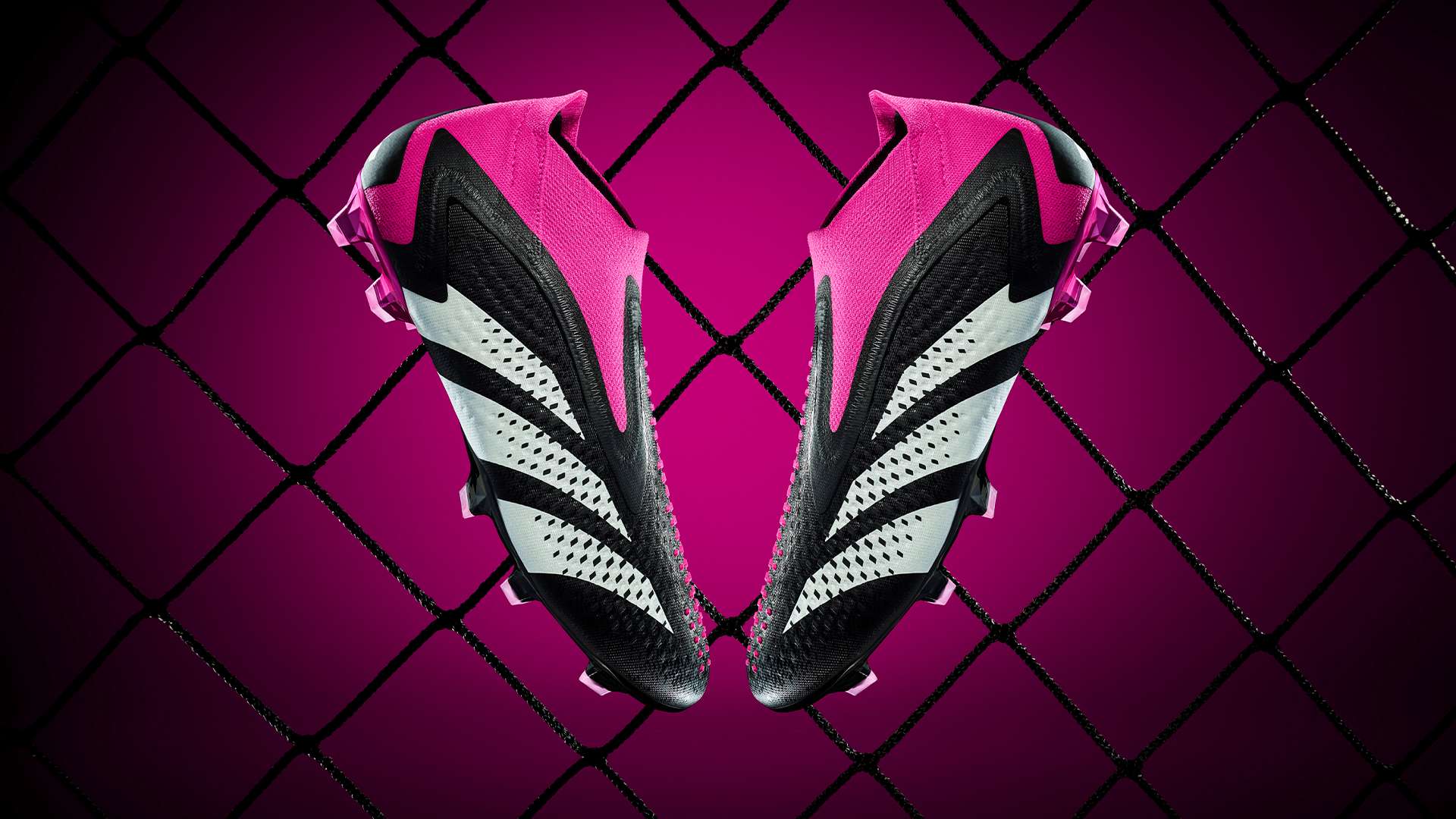 家族基因与 家族基因与